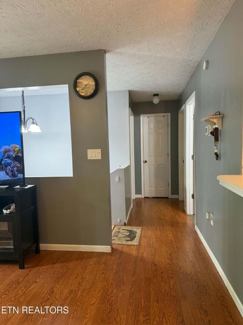 Tiny photo for 713 Petit Lane, Wartburg, TN 37887 (MLS # 1342211)