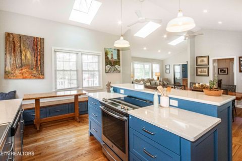 Tiny photo for 4011 Whitlow Ave, Knoxville, TN 37919 (MLS # 1333057)