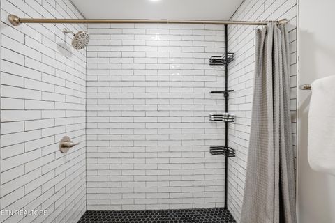 Tiny photo for 103 Martin Court Court, Dandridge, TN 37725 (MLS # 1337648)