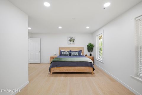 Tiny photo for 103 Martin Court Court, Dandridge, TN 37725 (MLS # 1337648)