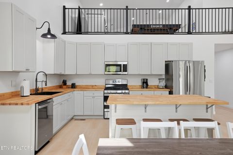 Tiny photo for 103 Martin Court Court, Dandridge, TN 37725 (MLS # 1337648)