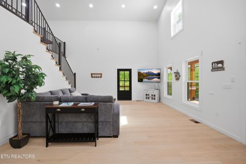 Tiny photo for 103 Martin Court Court, Dandridge, TN 37725 (MLS # 1337648)