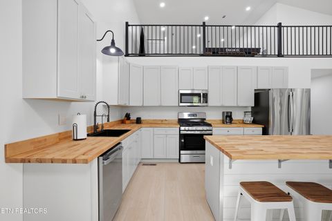 Tiny photo for 103 Martin Court Court, Dandridge, TN 37725 (MLS # 1337648)