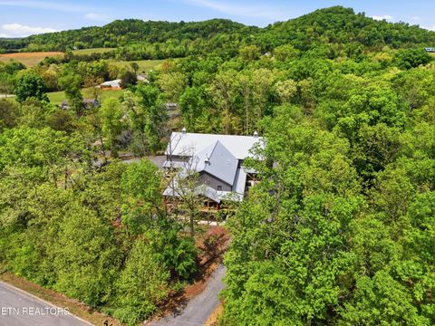 Tiny photo for 103 Martin Court Court, Dandridge, TN 37725 (MLS # 1337648)