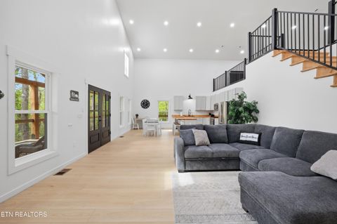 Tiny photo for 103 Martin Court Court, Dandridge, TN 37725 (MLS # 1337648)