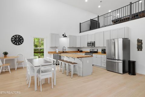 Tiny photo for 103 Martin Court Court, Dandridge, TN 37725 (MLS # 1337648)