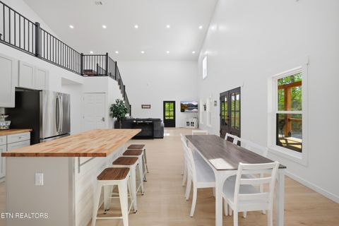 Tiny photo for 103 Martin Court Court, Dandridge, TN 37725 (MLS # 1337648)