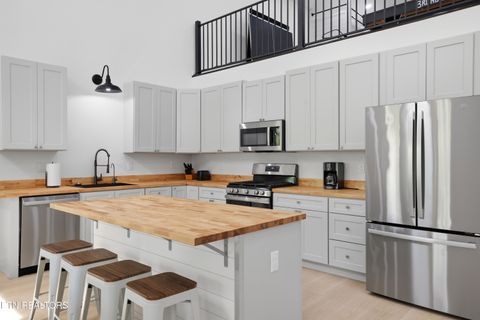 Tiny photo for 103 Martin Court Court, Dandridge, TN 37725 (MLS # 1337648)