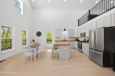 Tiny photo for 103 Martin Court Court, Dandridge, TN 37725 (MLS # 1337648)