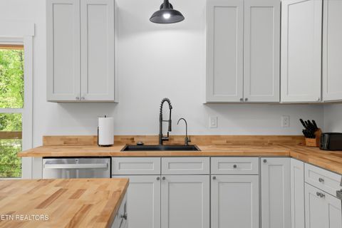 Tiny photo for 103 Martin Court Court, Dandridge, TN 37725 (MLS # 1337648)