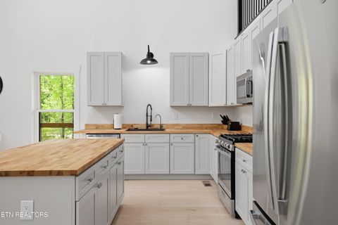 Tiny photo for 103 Martin Court Court, Dandridge, TN 37725 (MLS # 1337648)