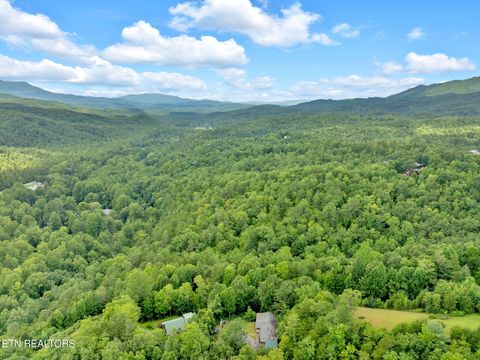 Tiny photo for 174 The Way, Gatlinburg, TN 37738 (MLS # 1334841)