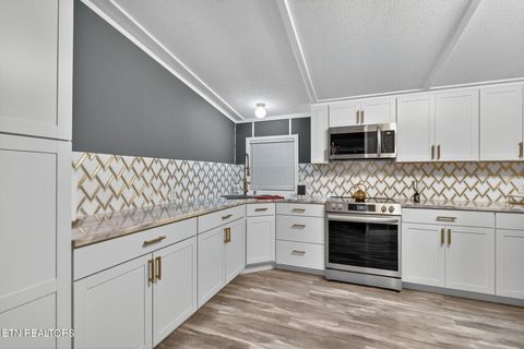 Tiny photo for 174 The Way, Gatlinburg, TN 37738 (MLS # 1334841)