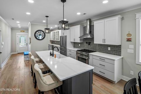 Tiny photo for 545 Brunello Way, Knoxville, TN 37919 (MLS # 1315647)