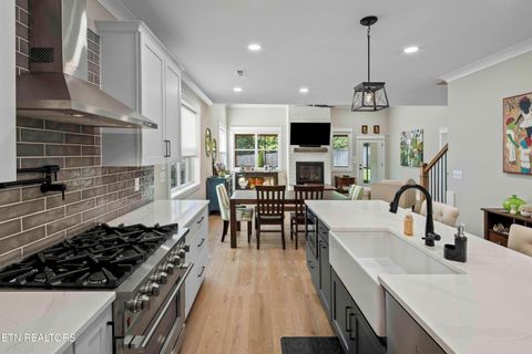 Tiny photo for 545 Brunello Way, Knoxville, TN 37919 (MLS # 1315647)