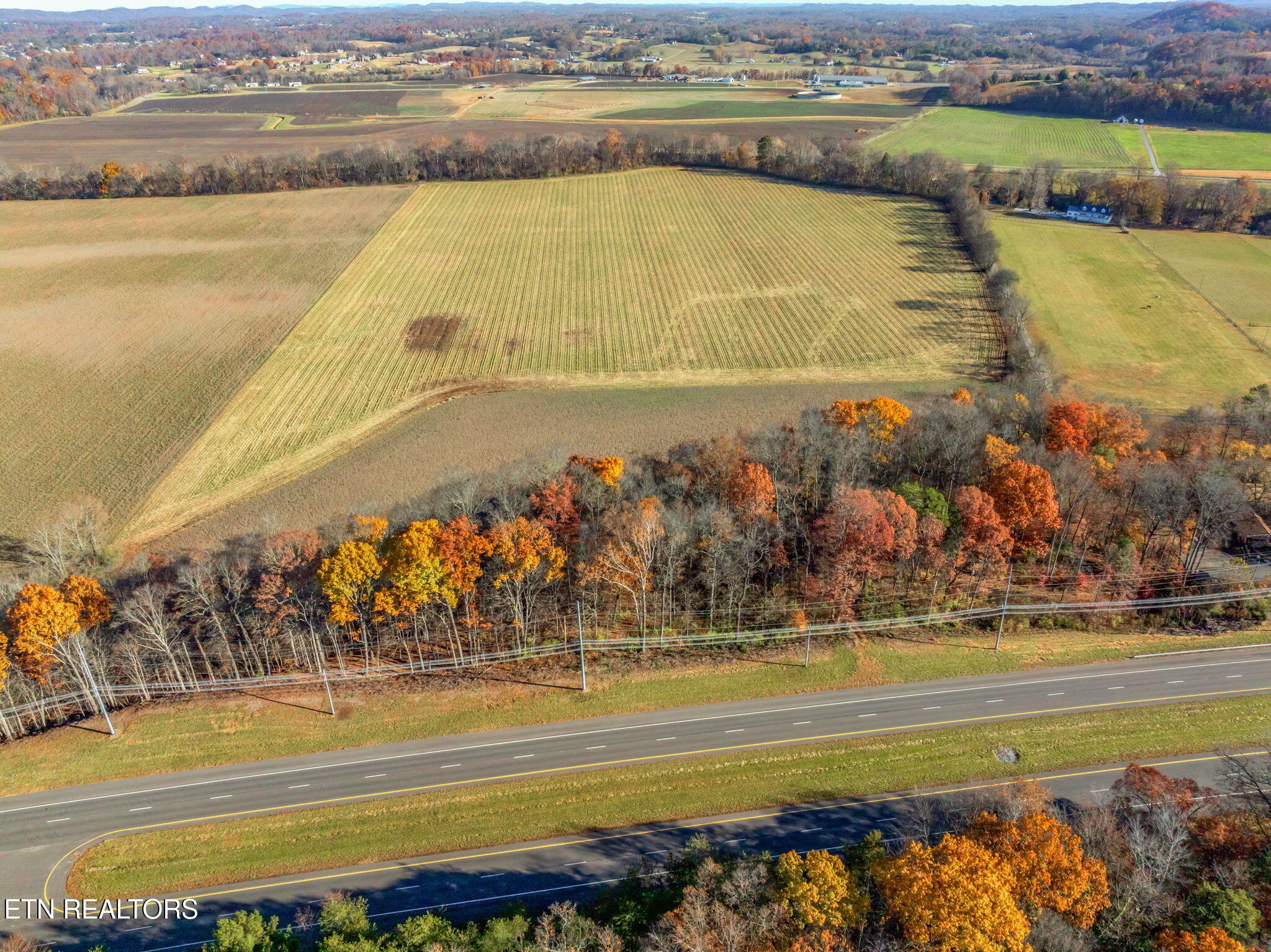 4019 E Lamar Alexander Pkwy