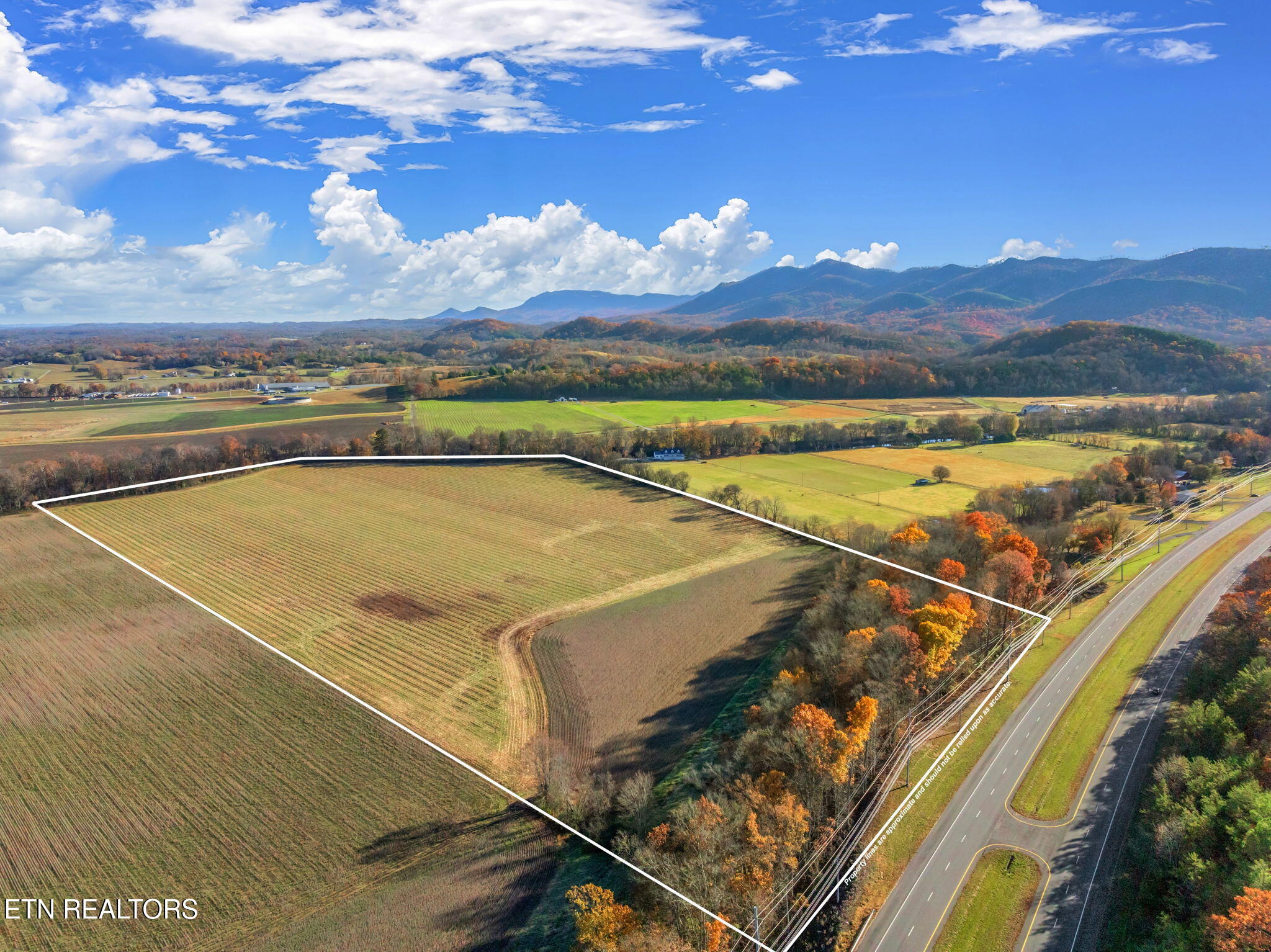 4019 E Lamar Alexander Pkwy