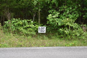 Photo 1 of 1 — Lot 102 Halfmoon Shores Drive, Ten Mile, TN 37880