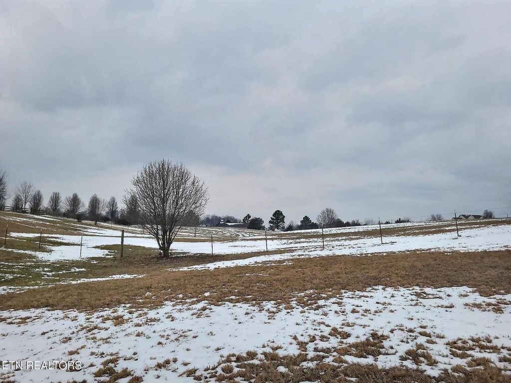 Photo of 3750 Sinking Creek Rd, Greenback, TN 37742 (MLS # 1318678)