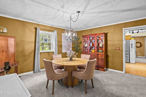 Tiny photo for 413 Sandy Springs Rd, Maryville, TN 37803 (MLS # 1340679)