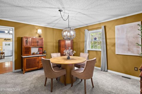 Tiny photo for 413 Sandy Springs Rd, Maryville, TN 37803 (MLS # 1340679)