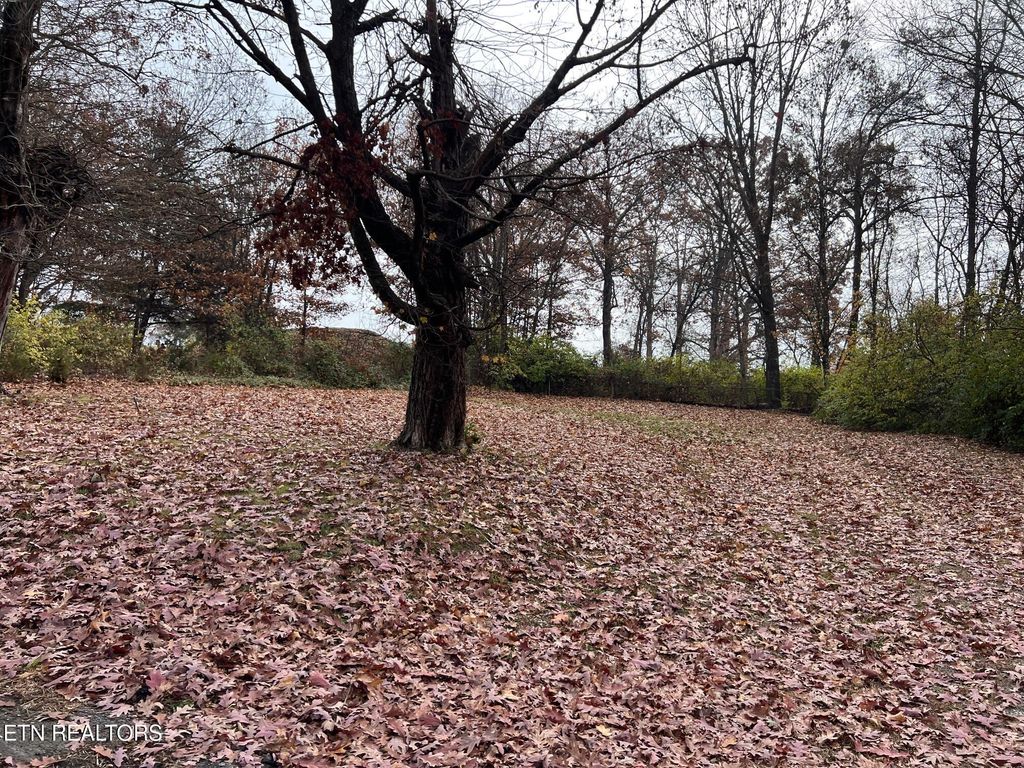 Photo of 308 Branner St, Morristown, TN 37814 (MLS # 1322507)