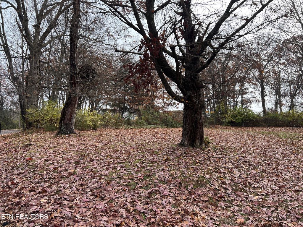 Photo of 308 Branner St, Morristown, TN 37814 (MLS # 1322507)