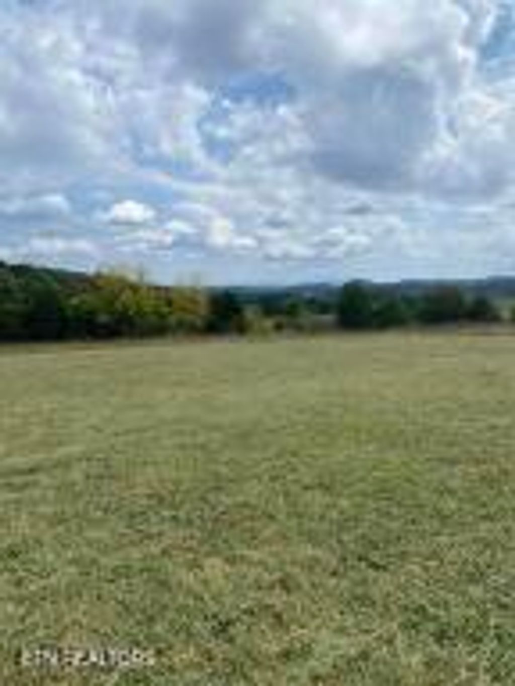Photo of 1007 Glenlock Rd, Sweetwater, TN 37874 (MLS # 1314397)