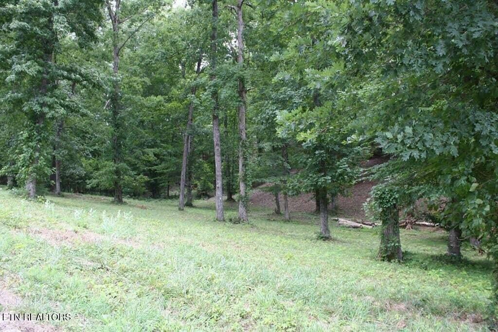 Photo of 6 Cypress Drive, Dandridge, TN 37725 (MLS # 1312570)