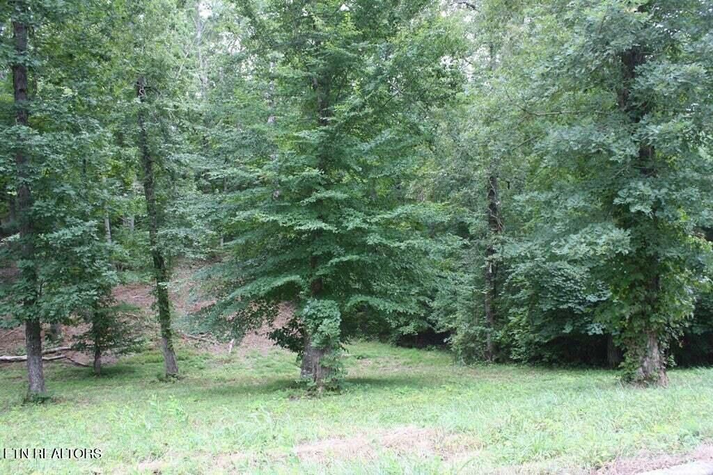 Photo of 6 Cypress Drive, Dandridge, TN 37725 (MLS # 1312570)