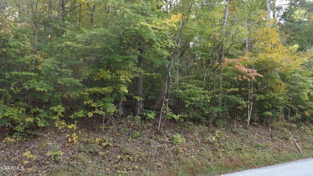 Photo of 0 Lake Lane, New Tazewell, TN 37825 (MLS # 1206839)