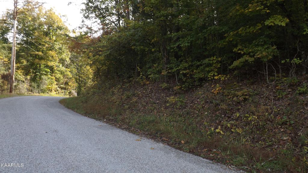 Photo of 0 Lake Lane, New Tazewell, TN 37825 (MLS # 1206839)