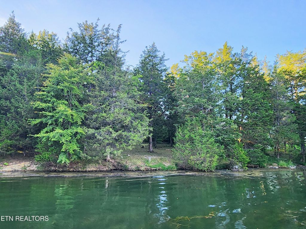 Photo of E Shore Drive, Rockwood, TN 37854 (MLS # 1313023)