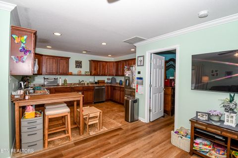 Tiny photo for 213 Tekoa Way, Maryville, TN 37804 (MLS # 1341012)