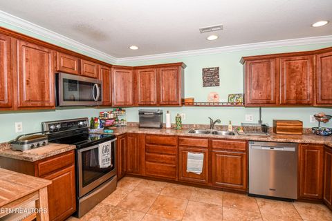 Tiny photo for 213 Tekoa Way, Maryville, TN 37804 (MLS # 1341012)