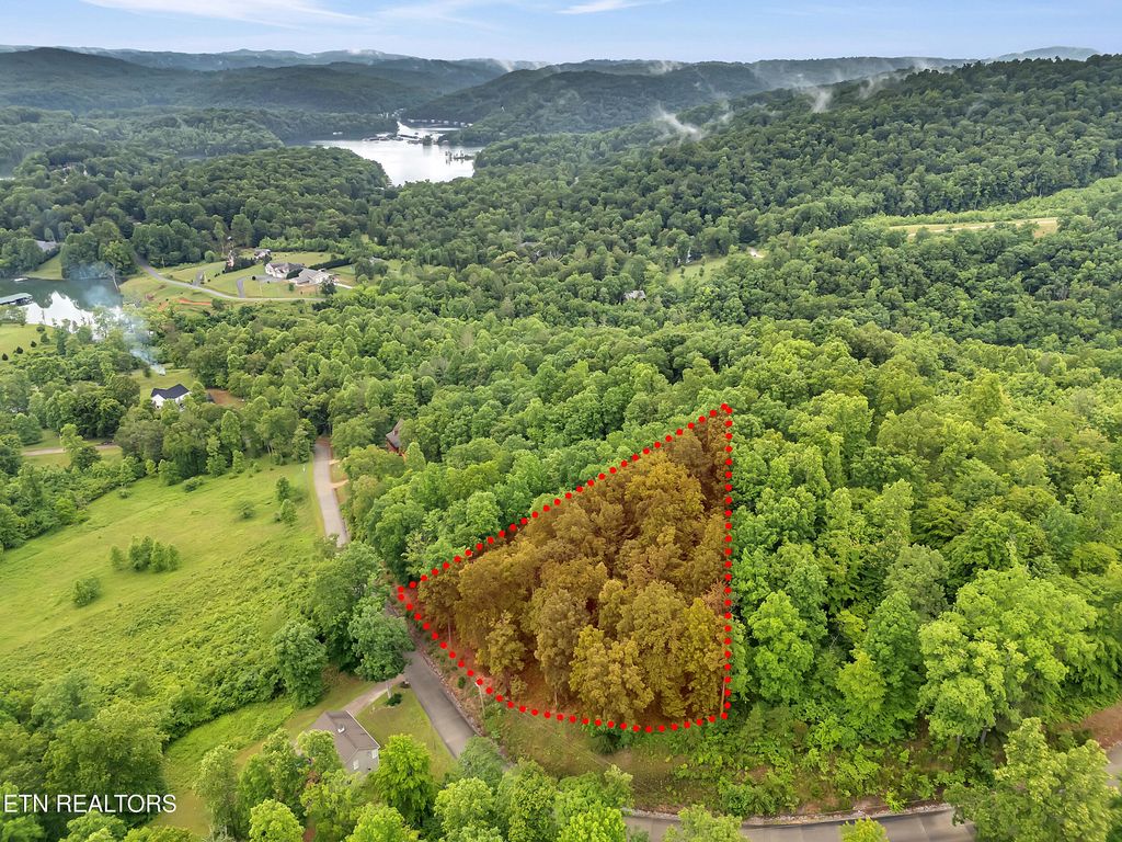 Photo of 98 Pinnacle Pointe Way, Sharps Chapel, TN 37866 (MLS # 1302521)