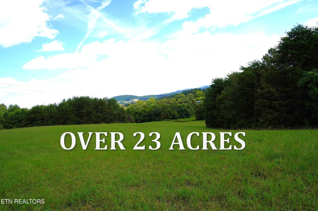 Photo of Whittle Rd, New Market, TN 37820 (MLS # 1313847)