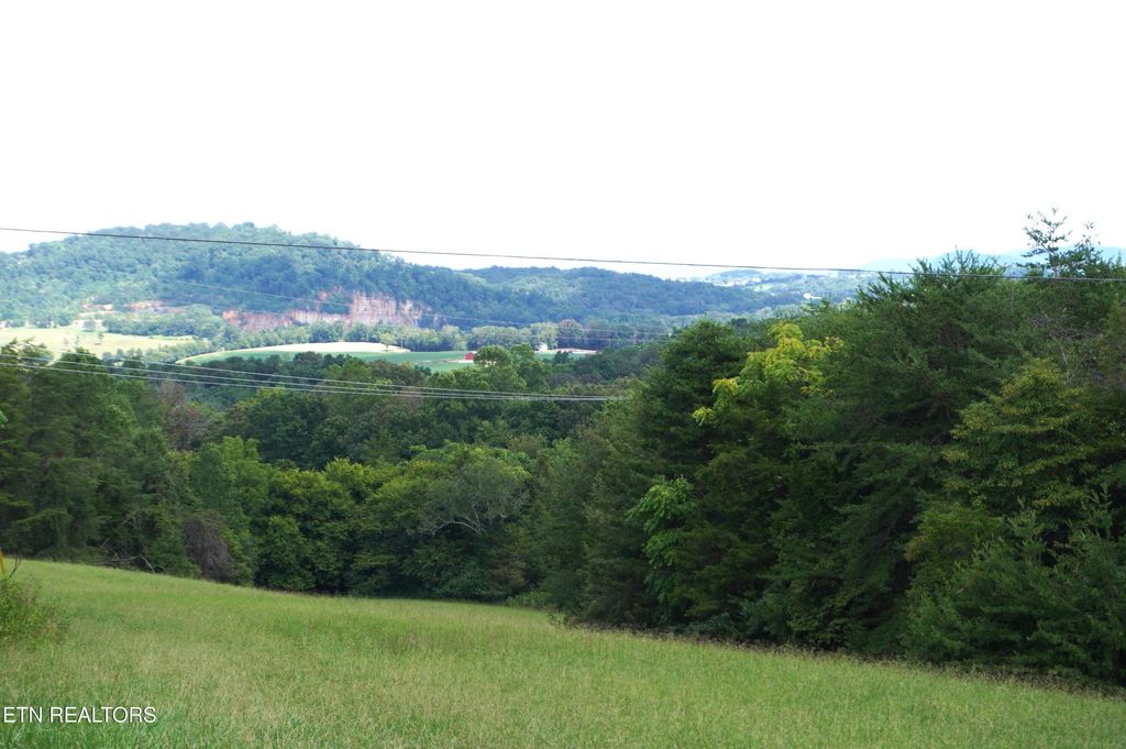 Photo of Whittle Rd, New Market, TN 37820 (MLS # 1313847)