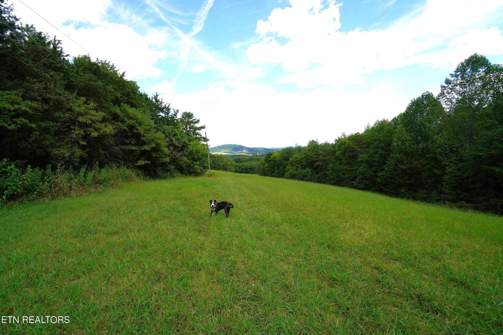 Photo of Whittle Rd, New Market, TN 37820 (MLS # 1313847)