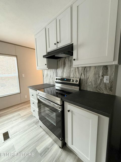 Tiny photo for 596 Old Long Hollow Rd, LaFollette, TN 37766 (MLS # 1324544)