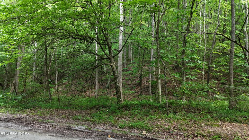 Photo of 1314 Clifton Cemetery Rd, Spring City, TN 37381 (MLS # 1306580)