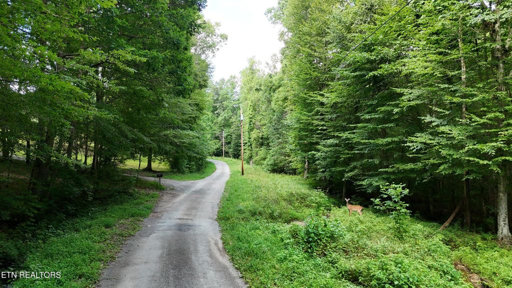 Photo of 1314 Clifton Cemetery Rd, Spring City, TN 37381 (MLS # 1306580)