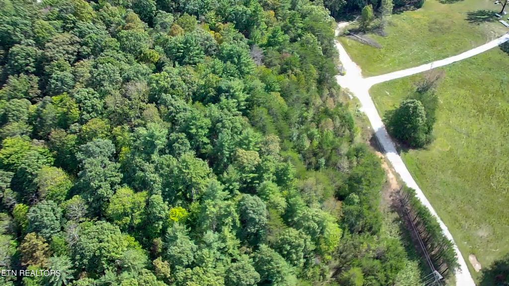 Photo of Bear Hollow Rd, Oneida, TN 37841 (MLS # 1333547)