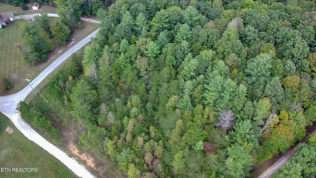 Photo of Bear Hollow Rd, Oneida, TN 37841 (MLS # 1333547)
