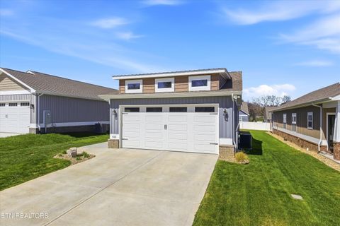 Tiny photo for 622 Johnson Estate Lane, Sevierville, TN 37862 (MLS # 1332319)