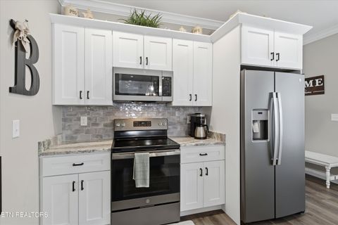 Tiny photo for 622 Johnson Estate Lane, Sevierville, TN 37862 (MLS # 1332319)