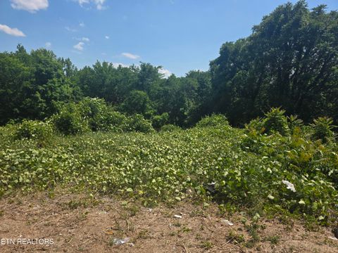 Photo of 805 Beaman Lake Rd, Knoxville, TN 37914 (MLS # 1341114)