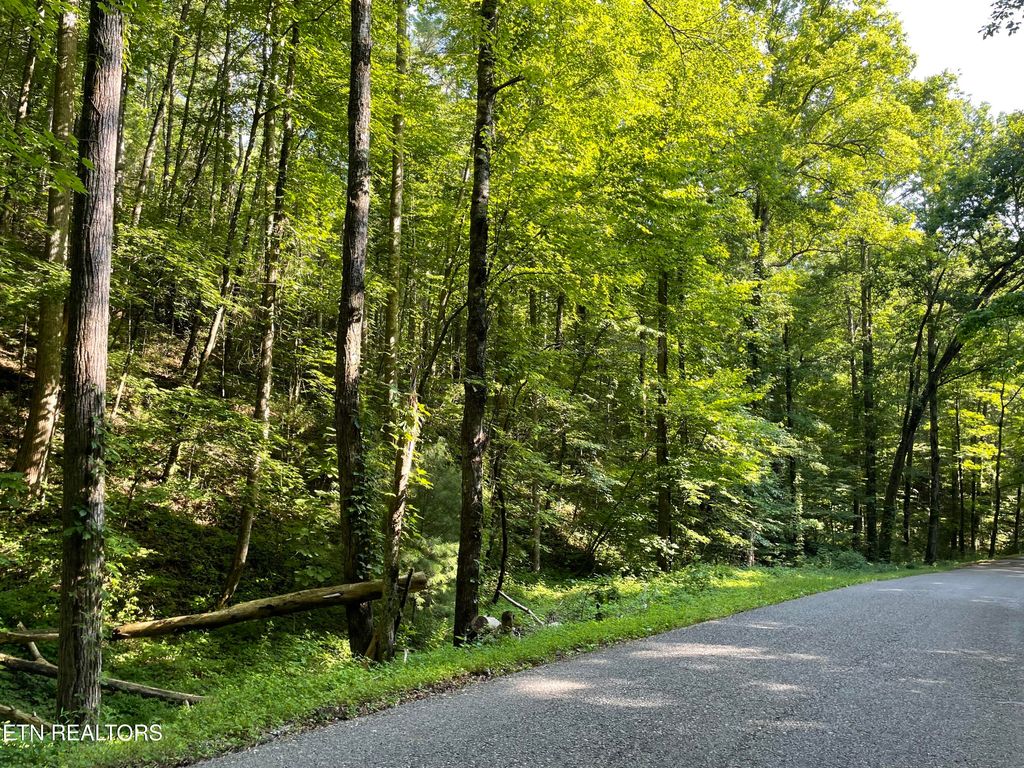 Photo of Turkey Creek Rd, Tellico Plains, TN 37385 (MLS # 1346567)