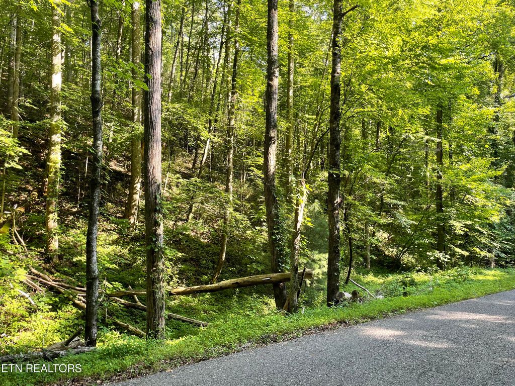 Photo of Turkey Creek Rd, Tellico Plains, TN 37385 (MLS # 1346567)