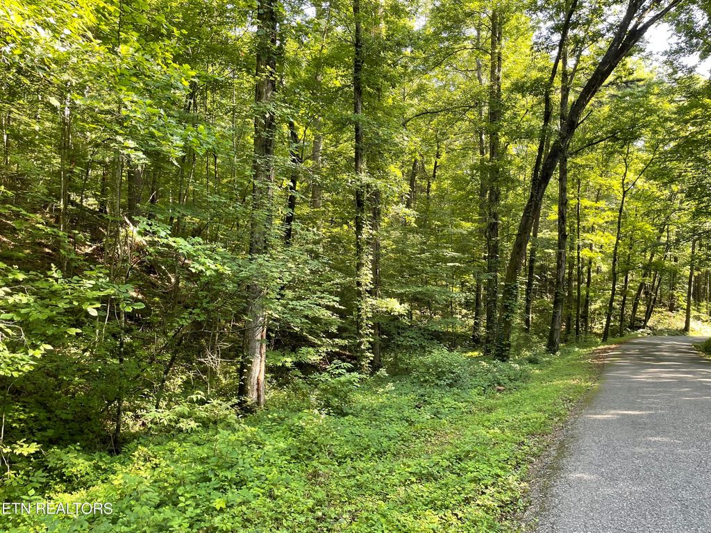 Photo of Turkey Creek Rd, Tellico Plains, TN 37385 (MLS # 1346567)